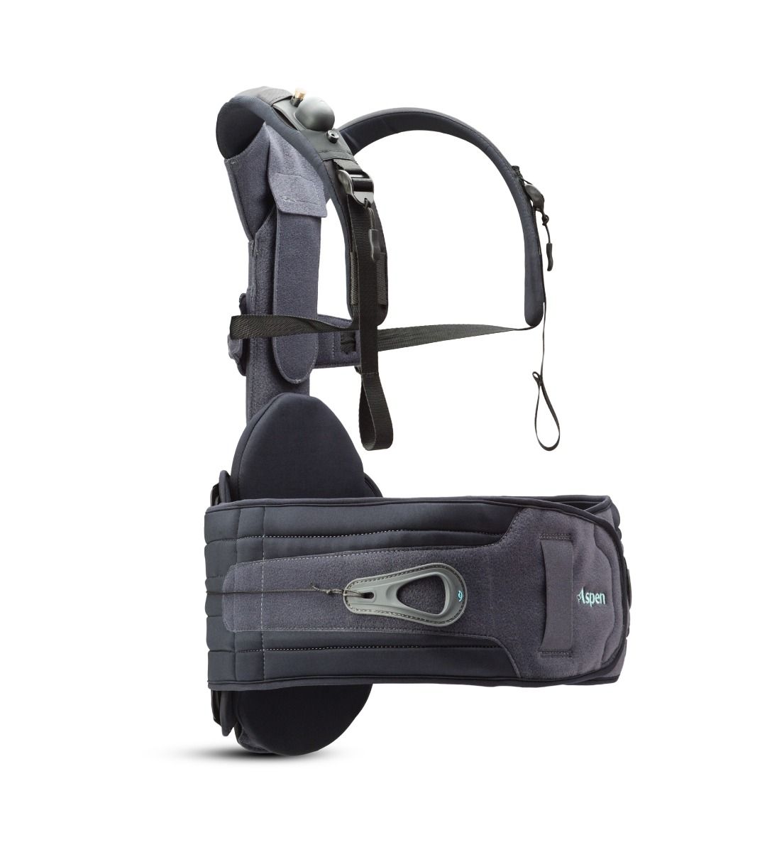 Spine and Hip DME Products - Tactical Rehabilitation, Inc.